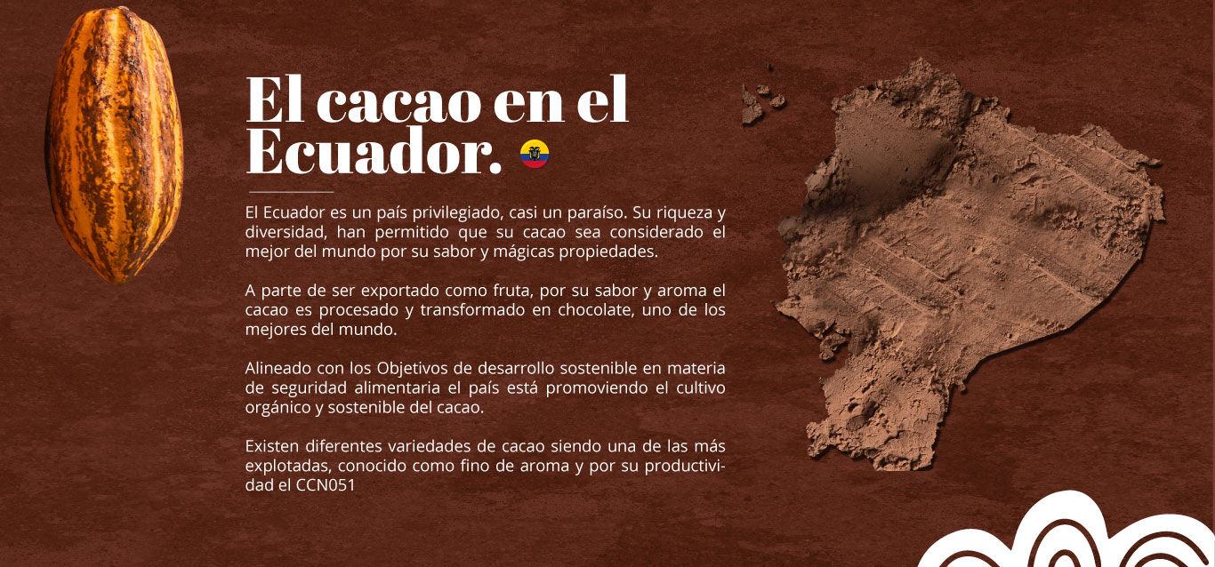 El cacao en el Ecuador